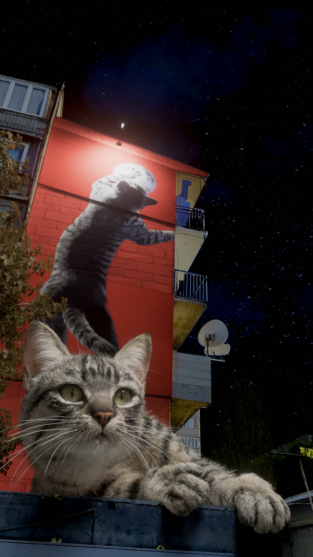Jumping Cat